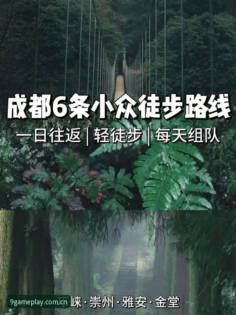 一手好游快先行APP登录教程评测 九游平台入口登录不迷路:一份实在的手游加速APP使用教程